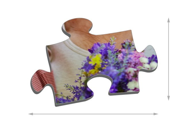 Dimensions des pièces du puzzle - Puzzle photo 500 pièces